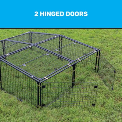 Image showing  Low-Profile 8 ft. x 7 ft. Chicken Run, 20 Chicken Capacity