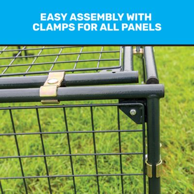 Image showing  Low-Profile 8 ft. x 7 ft. Chicken Run, 20 Chicken Capacity