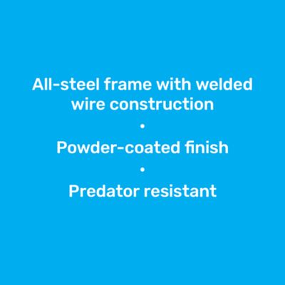 Image showing 5 th Producer's Pride Low-Profile 8 x 7ft. Chicken Run, 20 Chicken Capacity