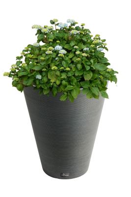 Image showing  Plastic Valencia Round Taper Ribbed Planter