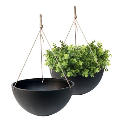 Algreen Acerra Hanging Basket, 2 pk. Black