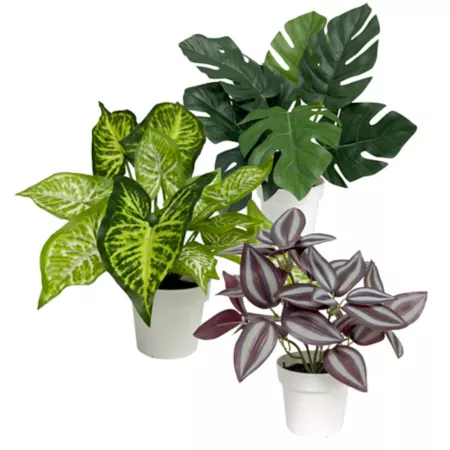 Set of 3 Algreen Artificial Plants Artificial Plants & Flowers