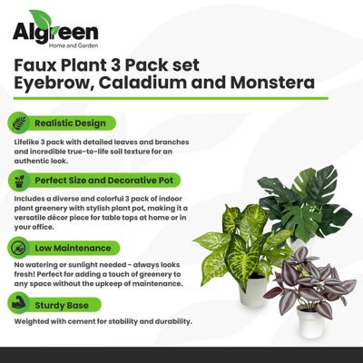 Image showing  Faux Plant 3 Pack Set