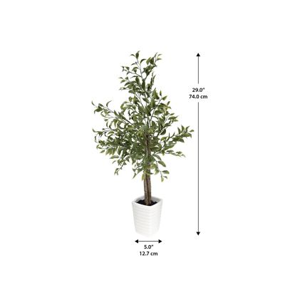 Image showing  Faux Plant Mini Ficus