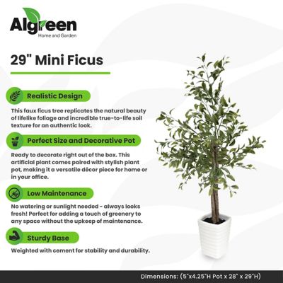 Image showing  Faux Plant Mini Ficus