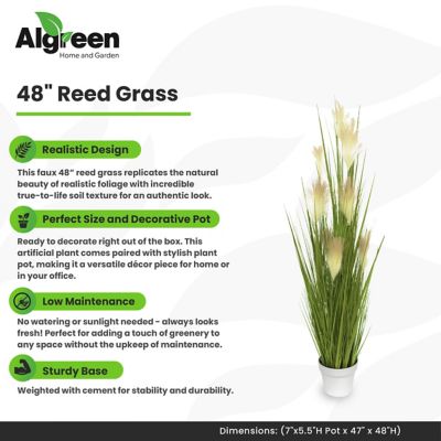 Image showing  Faux Plant Reed Grass