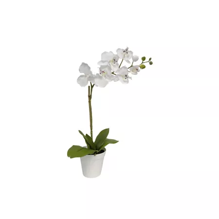 Algreen Artificial Plant Orchid White Artificial Plants & Flowers