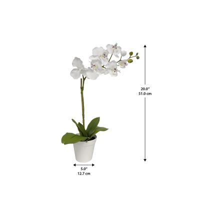Image showing  Faux Plant Orchid White