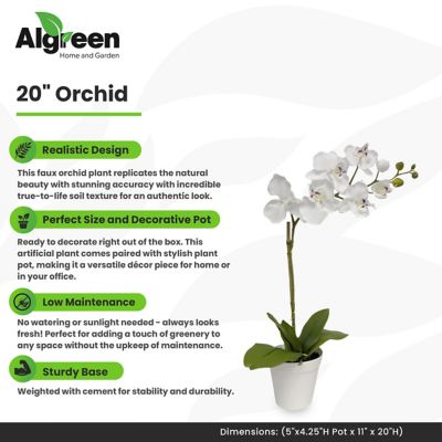 Image showing  Faux Plant Orchid White