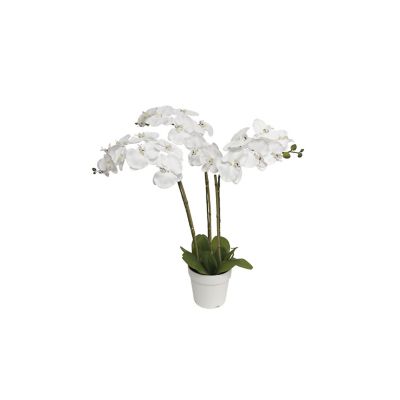 Algreen Faux Plant Triple Stem Orchid