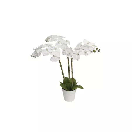 Algreen Artificial Three-Stem Orchid Artificial Plants & Flowers