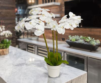 Image showing  Faux Plant Triple Stem Orchid