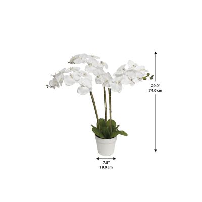 Image showing  Faux Plant Triple Stem Orchid