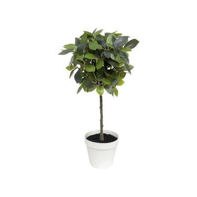 Algreen Faux Plant Weeping Ficus