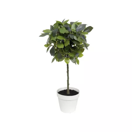 Algreen Fake Plant Weeping Ficus Artificial Plants & Flowers