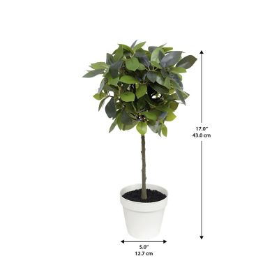 Image showing  Faux Plant Weeping Ficus