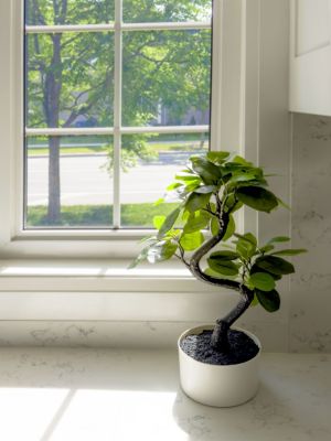 Image showing  Faux Plant Snake Ficus