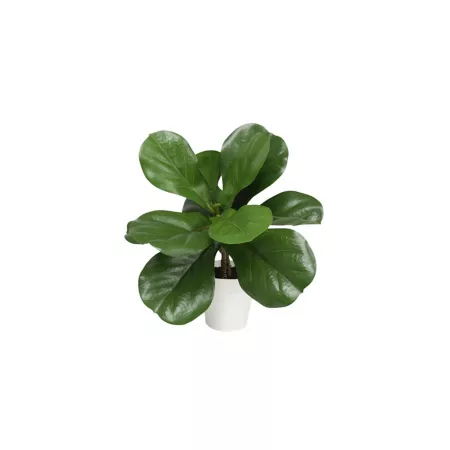 Algreen Faux Plant Potted Ficus Artificial Plants & Flowers