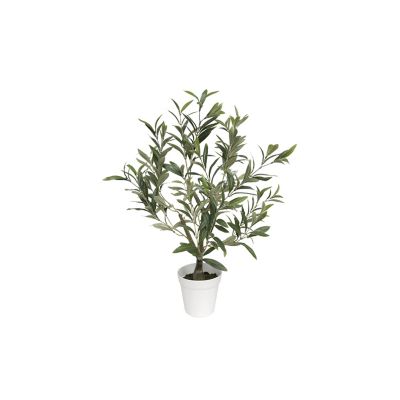 Algreen Table Top Olive Tree