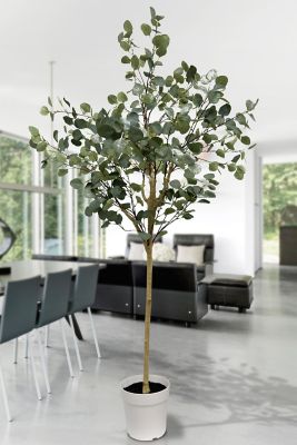 Image showing  Eucalyptus Tree Faux