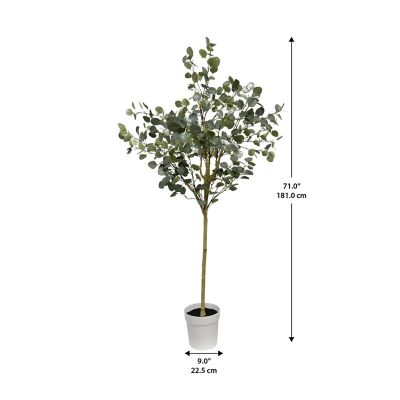 Image showing  Eucalyptus Tree Faux