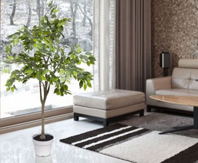 Image showing  Ficus Tree Faux