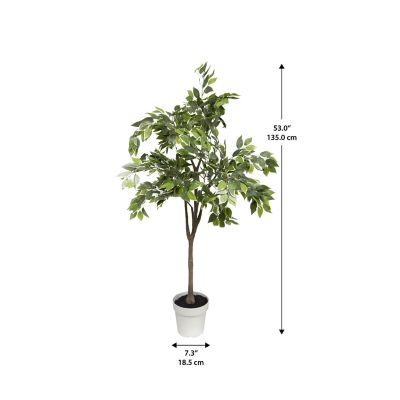 Image showing  Ficus Tree Faux