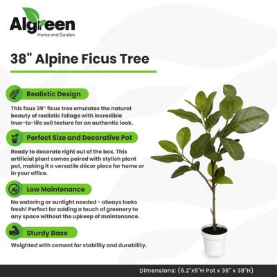 Image showing  Alpine Ficus Faux Plant 38 in.