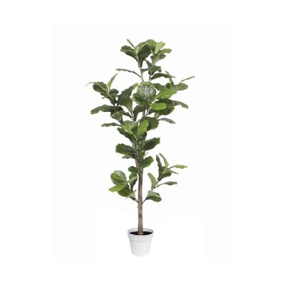 Algreen Alpine Ficus Faux Plant 67 in.