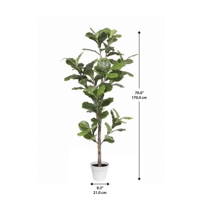 Image showing  Alpine Ficus Faux Plant 67 in.