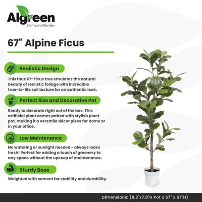 Image showing  Alpine Ficus Faux Plant 67 in.