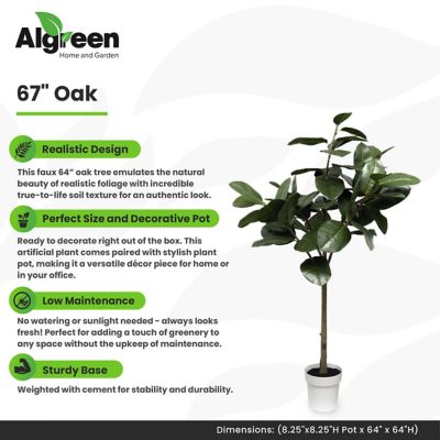 Image showing  Oak Faux Tree