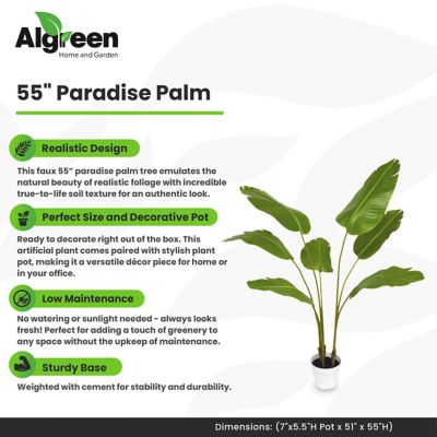 Image showing  Paradise Palm Faux Plant