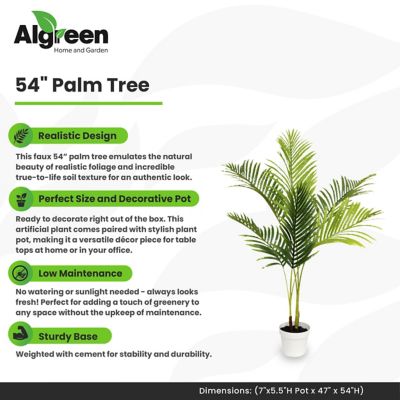Image showing  Palm Tree Faux Plant