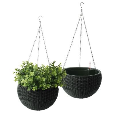 Algreen 10 in. Hanging Basket Black, 2 pk.