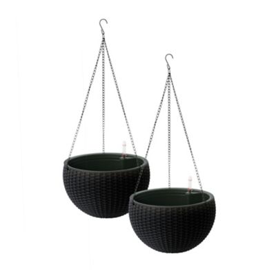 Image showing  10 in. Hanging Basket Black, 2 pk.