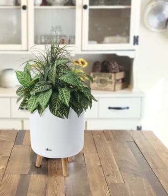 Image showing  Modena 12.7 in. Planter with Stand White