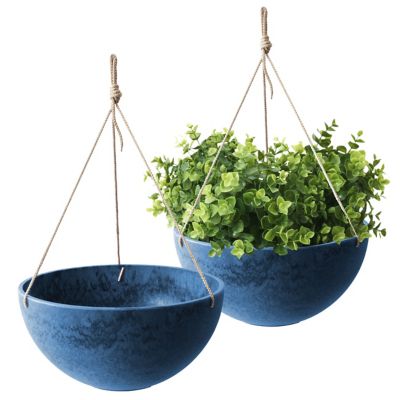 Algreen Acerra 14 in. Hanging Basket Blue, 2 pk.