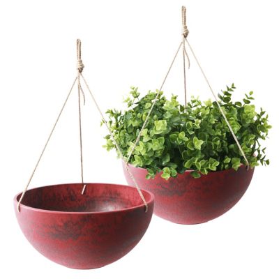 Algreen Acerra 14 in. Hanging Basket Red, 2 pk.