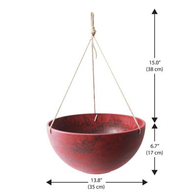 Image showing  Acerra 14 in. Hanging Basket Red, 2 pk.