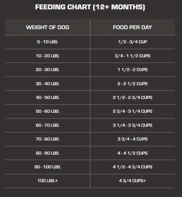 Image showing  Adult High Energy Mini Chunk Chicken Recipe Dry Dog Food, 40 lb. Bag