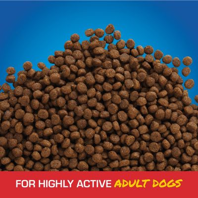Image showing  Adult High Energy Mini Chunk Chicken Recipe Dry Dog Food, 40 lb. Bag