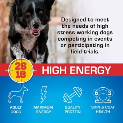 Image showing  Adult High Energy Mini Chunk Chicken Recipe Dry Dog Food, 40 lb. Bag