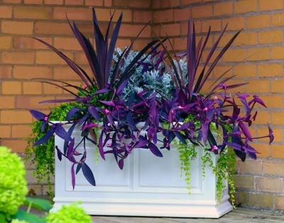 Image showing 6 th Algreen Covington Trough Planter 30 in. White