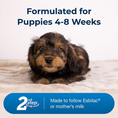 Image showing  Esbilac 2nd Step Puppy Weaning Food Powder