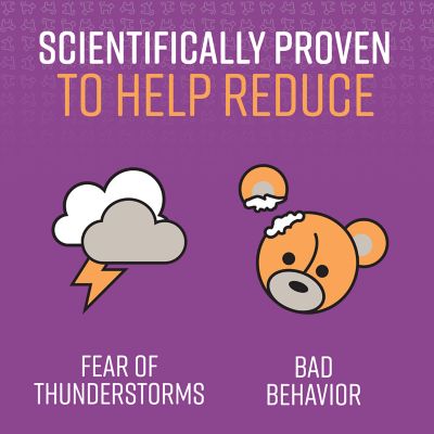 Image showing  Calming Collar for Dogs