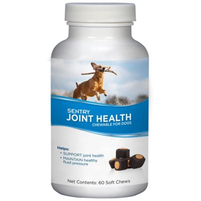 sam's club dog joint supplement