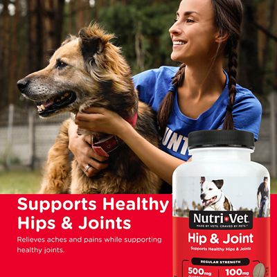 Image showing  Regular Strength Hip and Joint Supplement for Dogs, 120 ct.