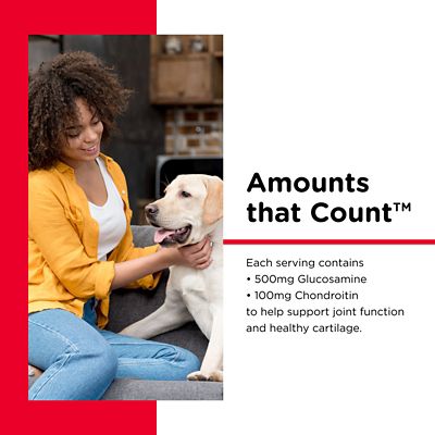 Image showing  Regular Strength Hip and Joint Supplement for Dogs, 120 ct.