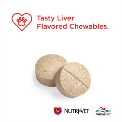 Image showing  Aspirin Pain Reliever Chewable Supplements for Medium and Large Dogs, 0.25 lb., 75 ct.